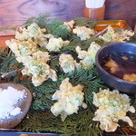 仙人小屋 - フキノトウの天ぷら