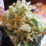 仙人小屋 - 山菜の天ぷら寄り