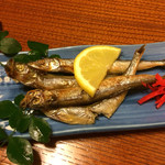 亀は萬年 - 子持ちシシャモ