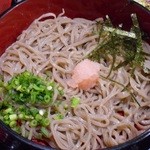 萬寿庵 - 蕎麦 2015.3