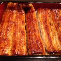 日本橋いづもや - 鰻重（箏）