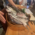 四十八漁場 - 