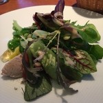 アバロッツ - 春キャベツと有機・無農薬サラダ　リエット、胡麻、くるみ、紹興酒風味