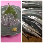 Shiyukoubou - サヨリ刺身です。青身魚のなかでは、アッサリして、品のある味わいで、美味しいです！