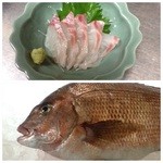 Shiyukoubou - 真鯛刺身です。