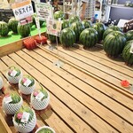 ＪＡほこた ファーマーズマーケット なだろう - スイカコーナー。