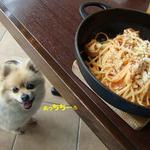 Dog Dept Garden Karuizawa Ten - 火傷に注意♨