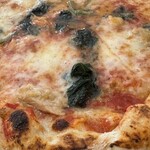 PIZZA BORSA - スピナッチ
            トマトベースにツナ、ほうれん草、モッツァレラ