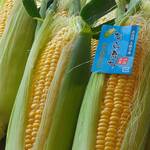 リストランテ ボルゴ・コニシ - 五條市益田農園の野菜☆今年も続々入荷中です♪奈良の大地の恵をイタリアンにのせて♪