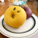VANITOY BAGEL - 