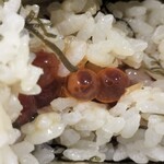NewDays - 料理写真: