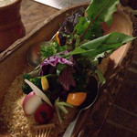 六本木農園 - 看板メニューの農園サラダ