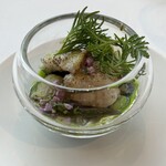 MOSS CROSS TOKYO - 鱧のヴェリーヌ