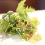 レストラン 一 - 