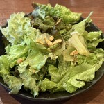 sinensis - 