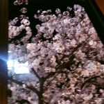 サクラバル - 窓からの桜