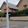 チャイナ 梅の花 - 