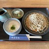 そば処　やまなみ - つけとろせいろ