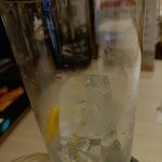 お酒の美術館 - ドリンク写真:オススメ　今日のジントニック　800円