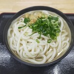 手打ちうどん 上田 - かけ大 450円