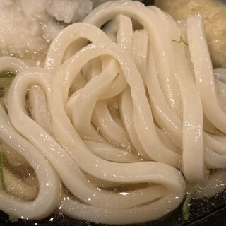 本場讃岐うどん めりけんや_1