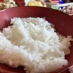 犬との食道 - 