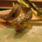 虎白 - 揚物：稚鮎鮎 行者大蒜