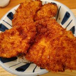 タレカツ食堂 たれとん - 