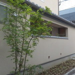 喜泉 - 建物西側