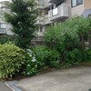 手打ち蕎麦 こはし - 