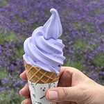 プチルネ - 料理写真:ラベンダーソフトクリーム