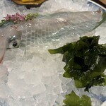 博多もつ鍋前田屋 - 
