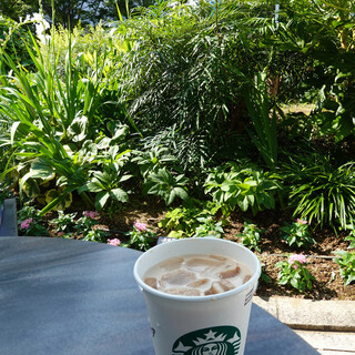 スターバックス コーヒー_0