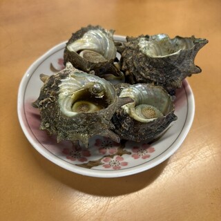 波戸岬サザエのつぼ焼き売店_0