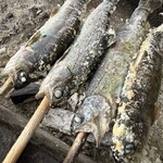 清流あまごセンター - 