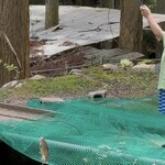 清流あまごセンター - 