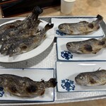 日の出町自然休養村さかな園 - ニジマス