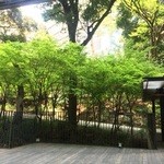 KEISUKE MATSUSHIMA - 