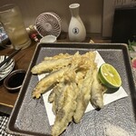 魚とごはん つき灯り - 