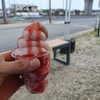HIGASHIDA FARM STRAWBERRY