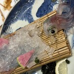 炭寅 - 