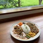 スパイスカレー 十和 - 