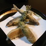 のざき - 若鮎と季節の山菜天ぷら