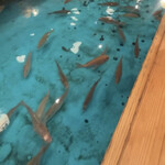 ジャンボ釣船 つり吉 - 