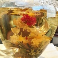 皇家龍鳳 - 