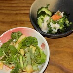 魚猫 - 