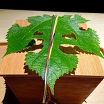 杦 - 