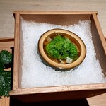 杦 - 