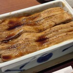 まめたぬき - 
