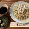 木漏れ陽 - 